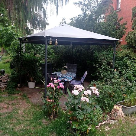 Ferienwohnung Markert Blankenburg  Rom bilde