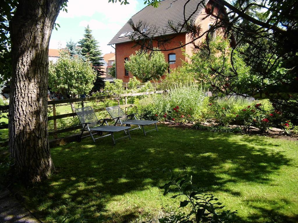 Ferienwohnung Markert Blankenburg  Rom bilde